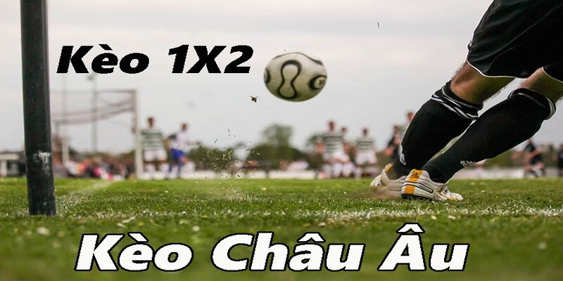Hình thức cược châu Âu dễ chơi dễ thắng
